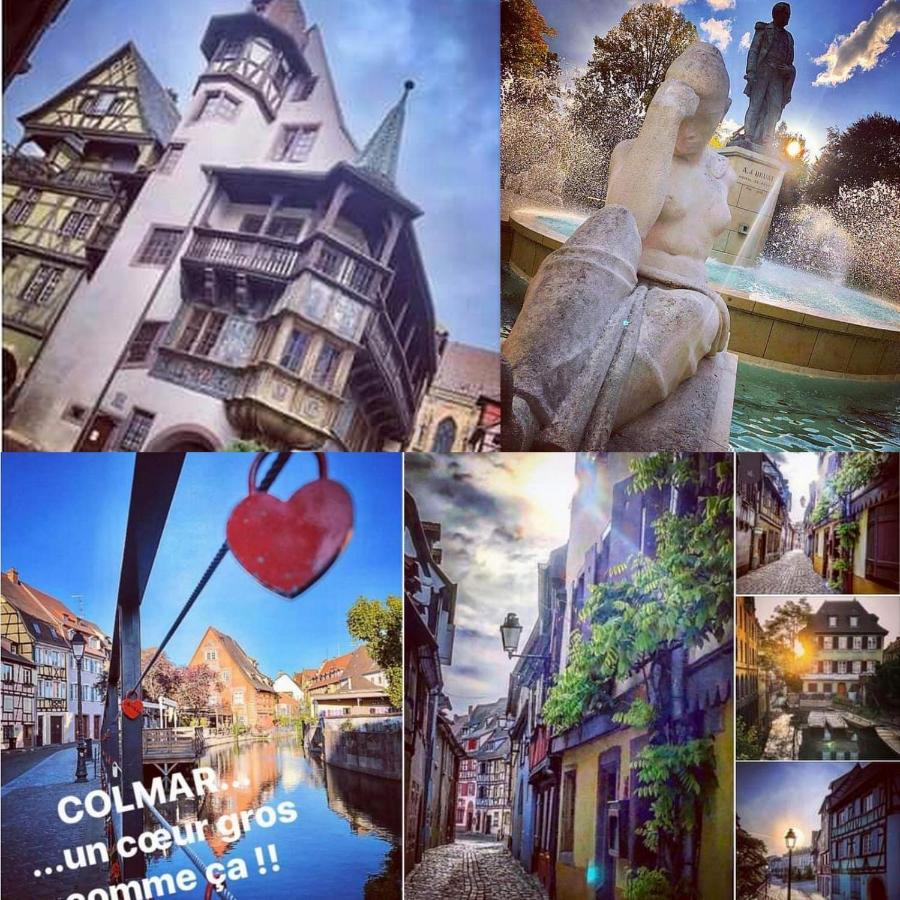 N¨°1 Schongauer Gite De Charme Centre Touristique Colmar Exterior foto
